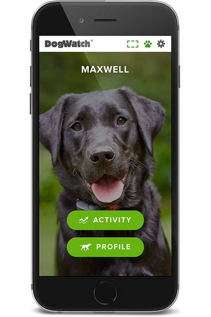 DogWatch of Central Indiana, Indianapolis, Indiana | SmartFence WebApp Image