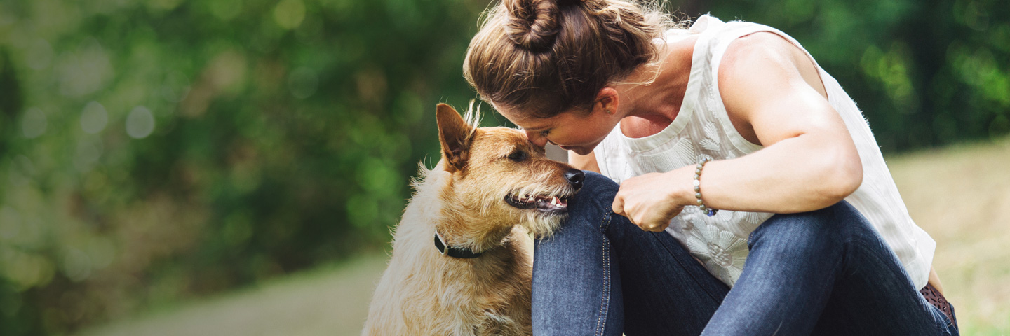 DogWatch of Central Indiana, Indianapolis, Indiana | BarkCollar No-Bark Trainer Slider Image